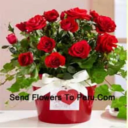A Beautiful Arrangement Of 18 Red Roses With Seasonal Fillers
